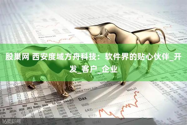 股巢网 西安度域方舟科技：软件界的贴心伙伴_开发_客户_企业