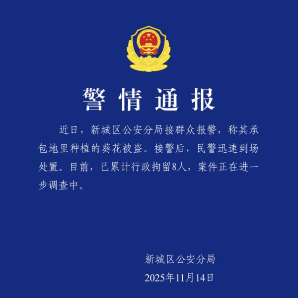 无忧配 呼和浩特百亩葵花田遭哄抢, 警方行拘8人, 律师: 参与哄抢者需承担民事赔偿